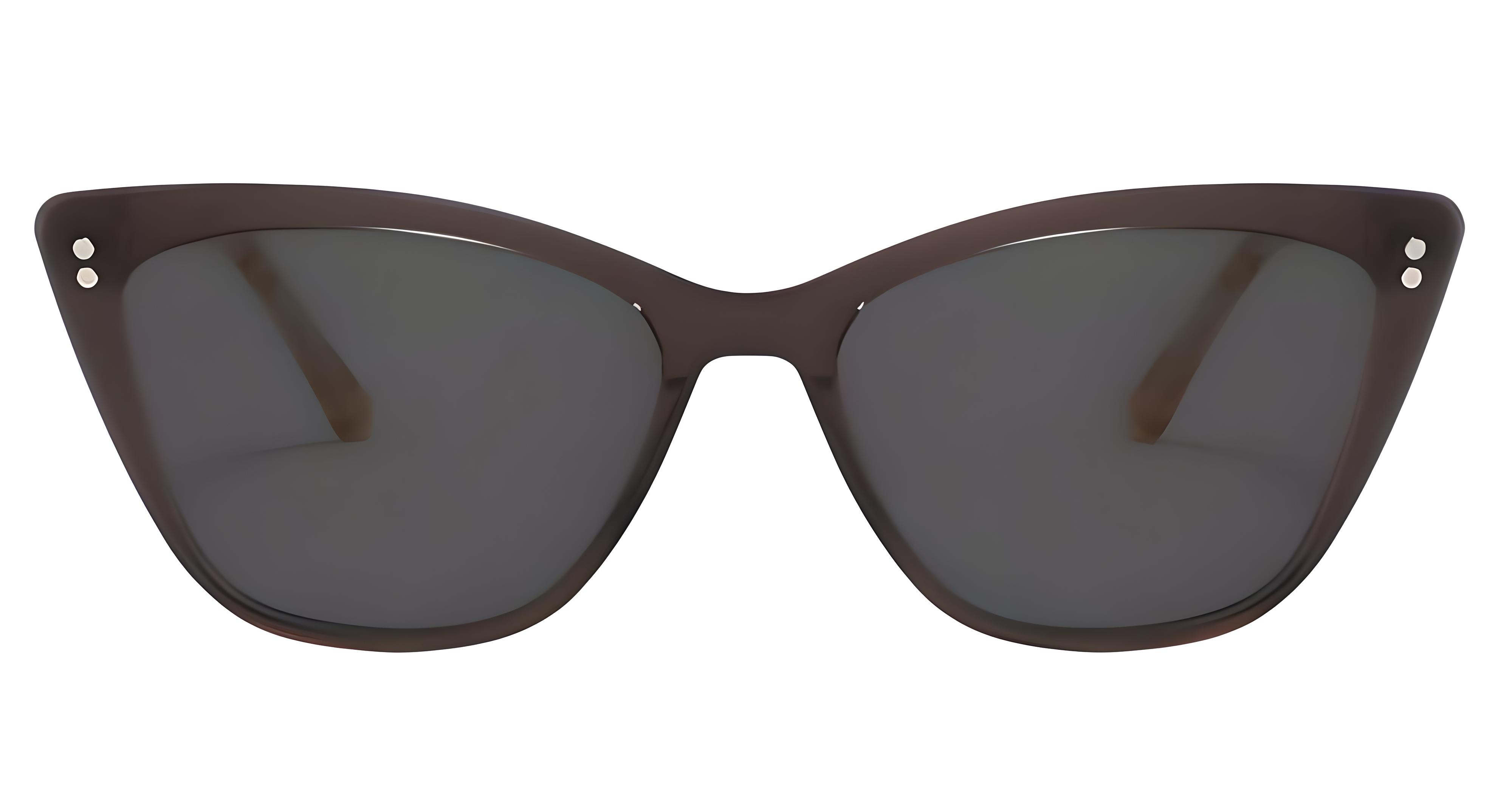 Missandtrendy Kate butterfly sunglasses with clear frame and black clip lens front side view