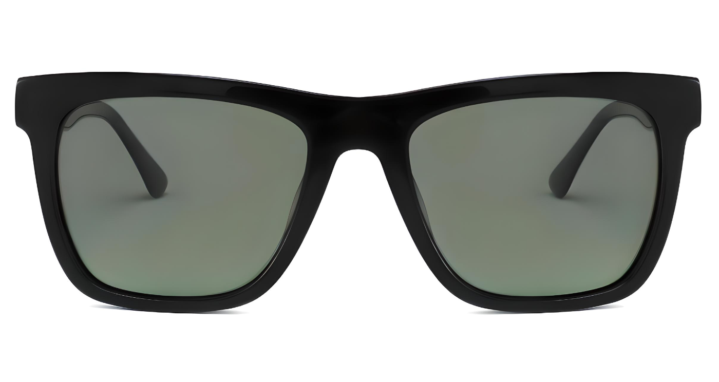 " Leo" Polarized