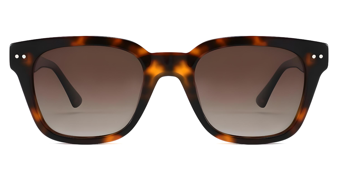 "Barbet" Polarized