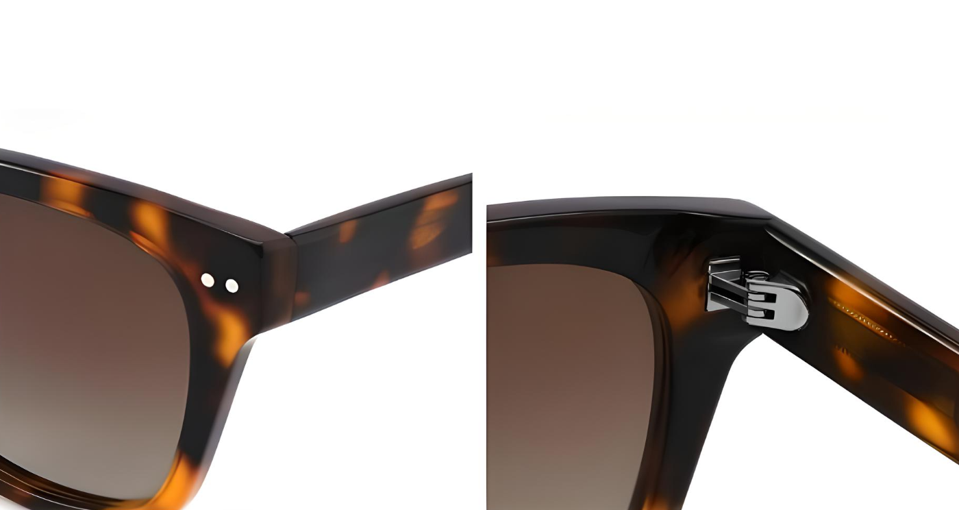 "Barbet" Polarized