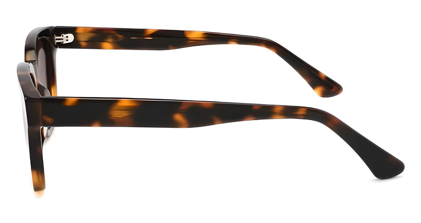 "Barbet" Polarized