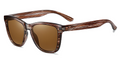 Dreamlike_Unisex_Polarized_sunglasses__Brown_and_brown_Classic