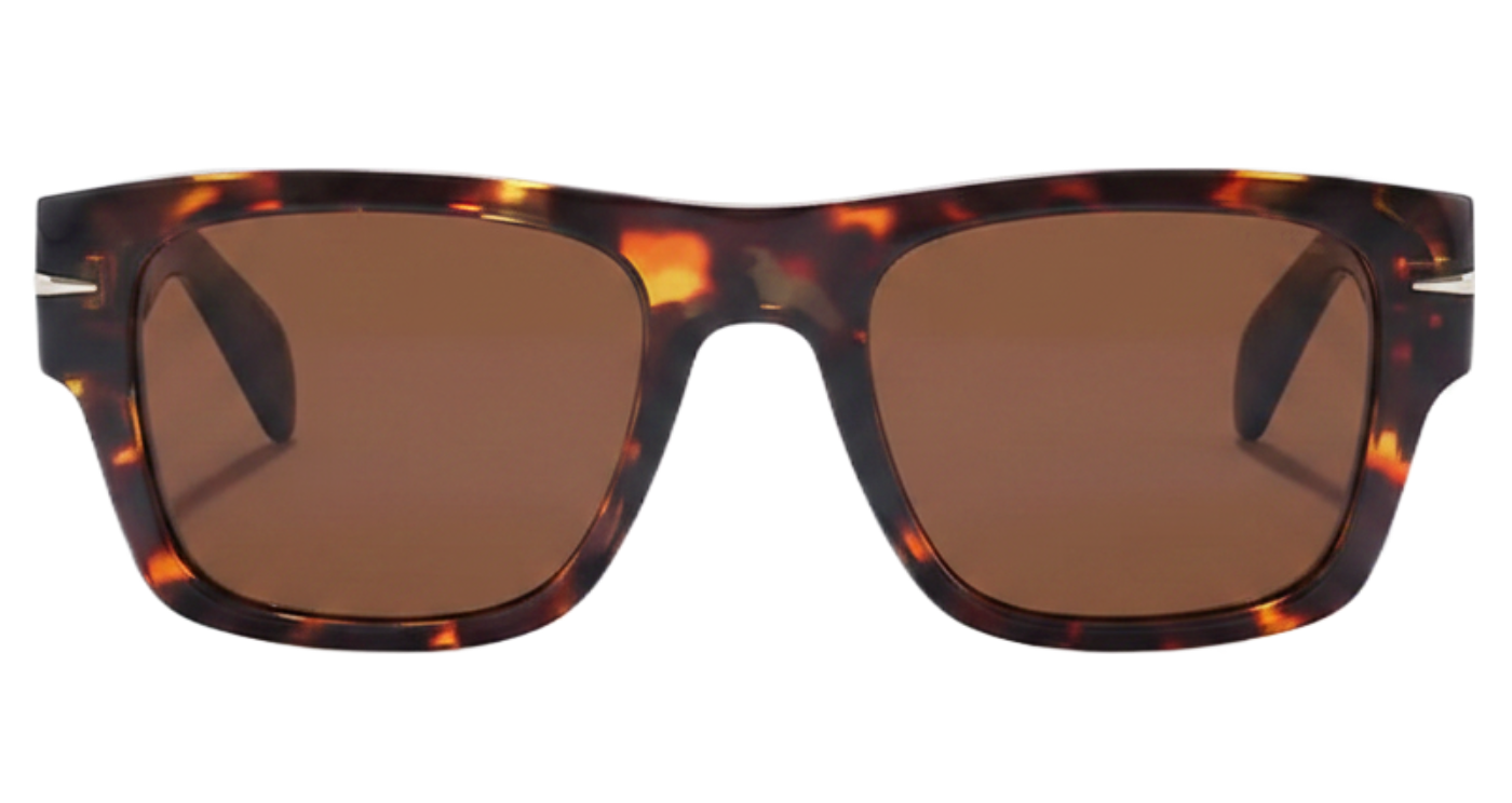Lincoln wayfarer tortoiseshell frame and brown lens UV polarised sunglasses Missandtrendy front 0º view