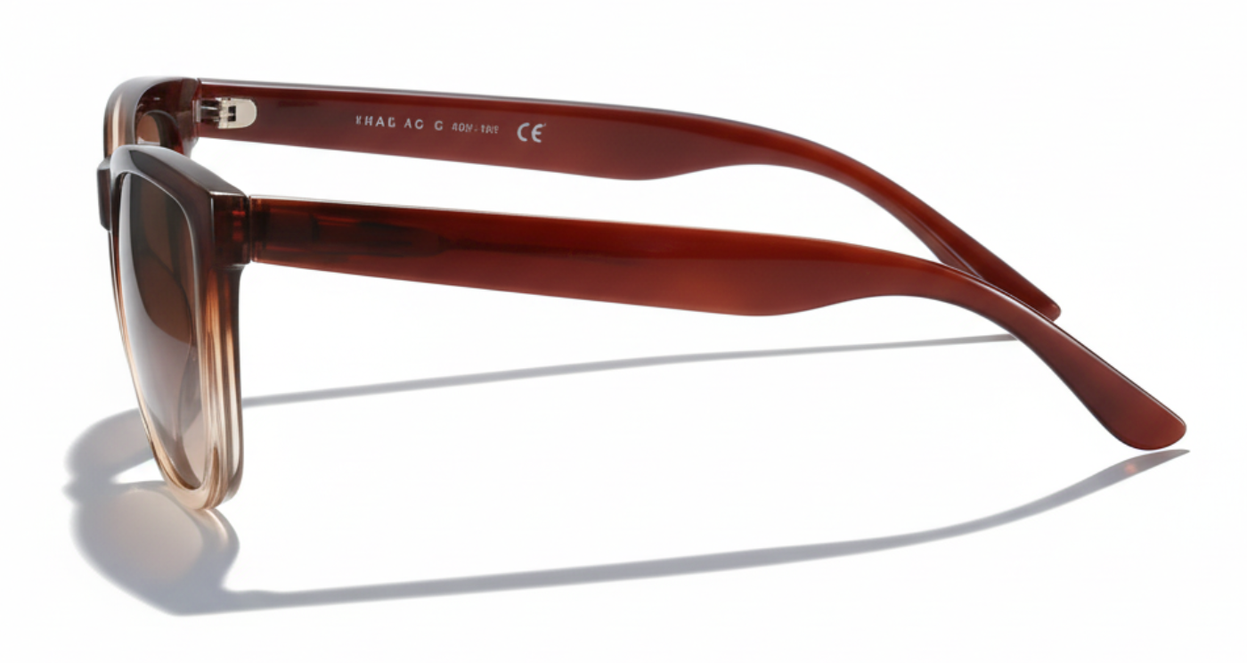 Missandtrendy rainbow wayfarer sunglasses with brown frame and gradient brown lens 90º side view