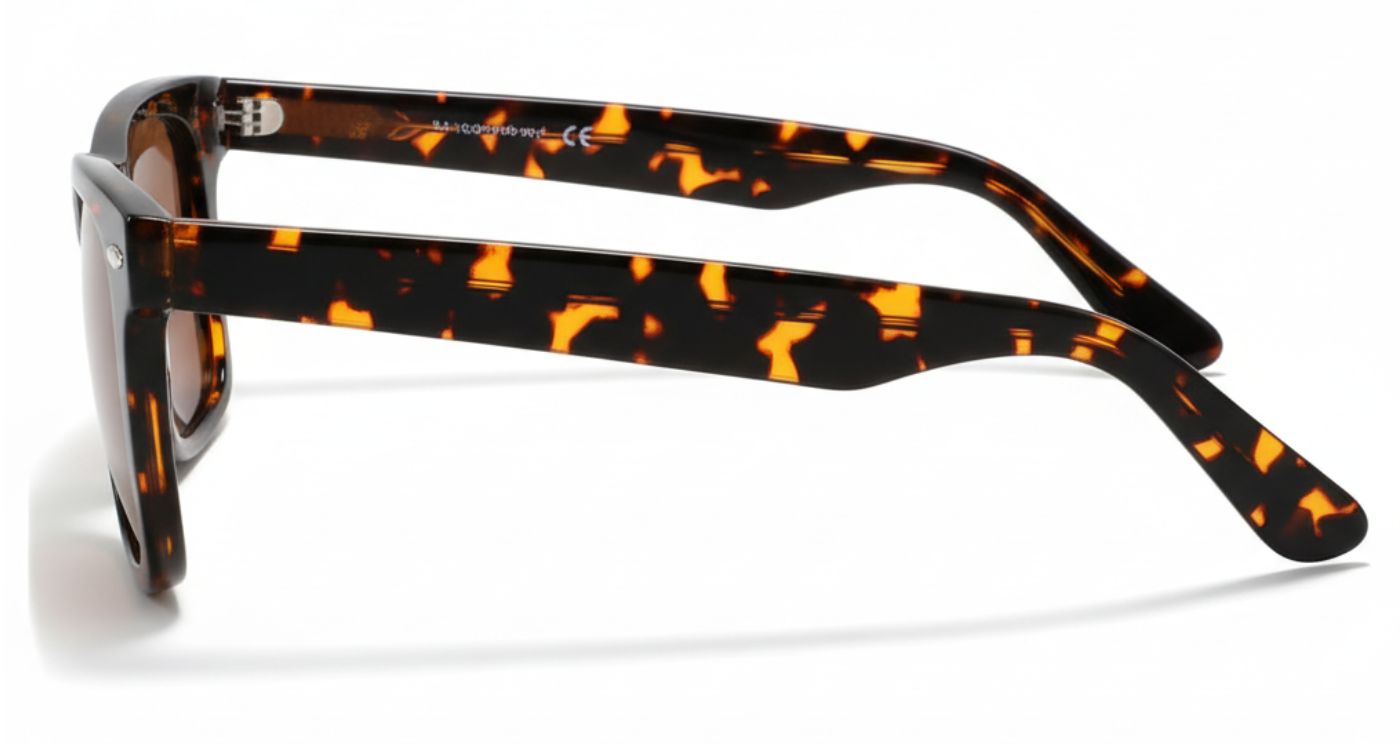 Missandtrendy senator wayfarer sunglasses with tortoiseshell frame and brown lens 90º side view_01