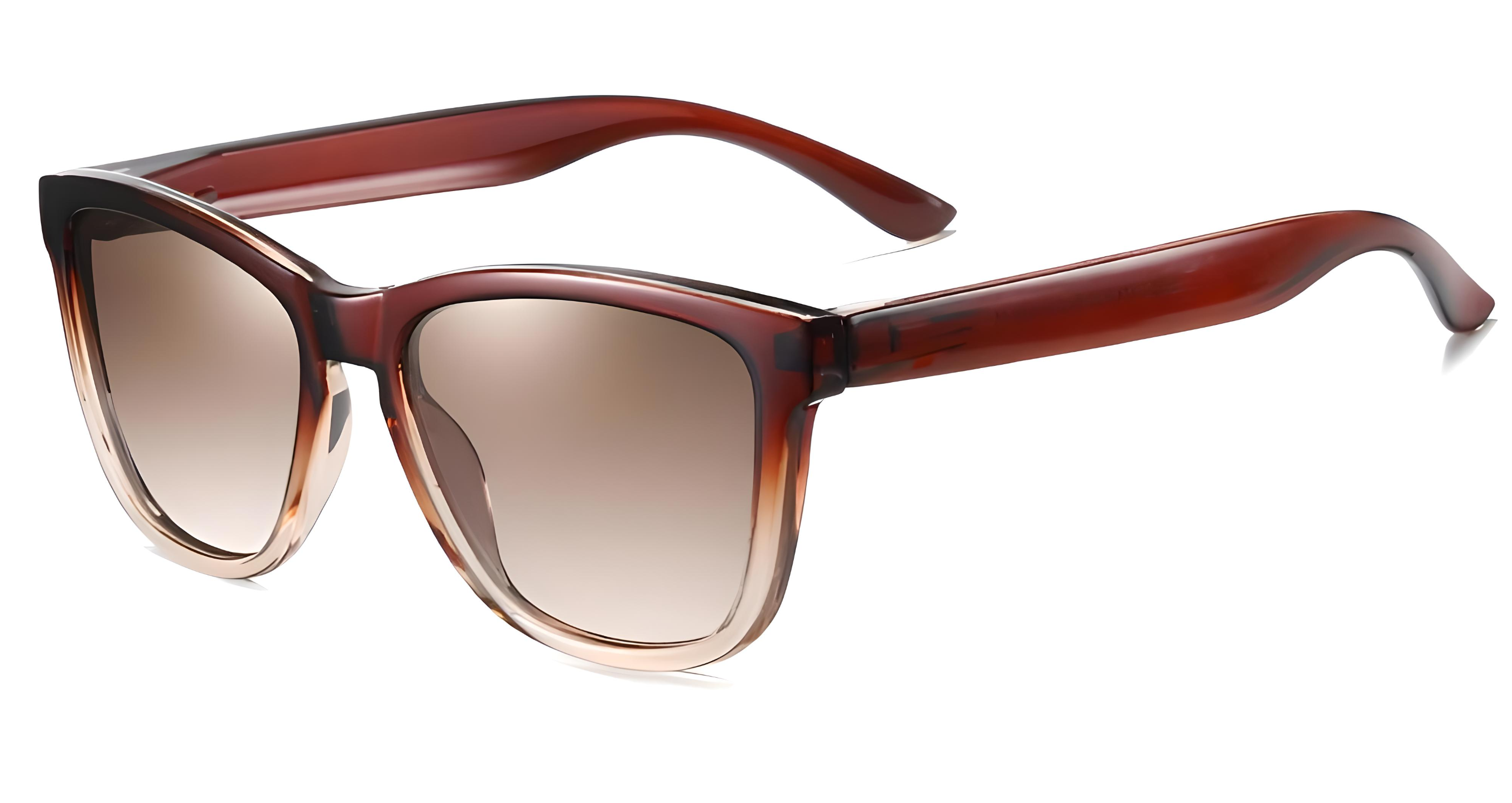 RainbowBrownonBrownUnisexPolarizedSunglasses